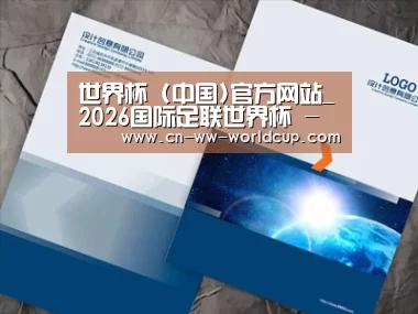 项目名称十