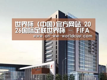 案例展示七